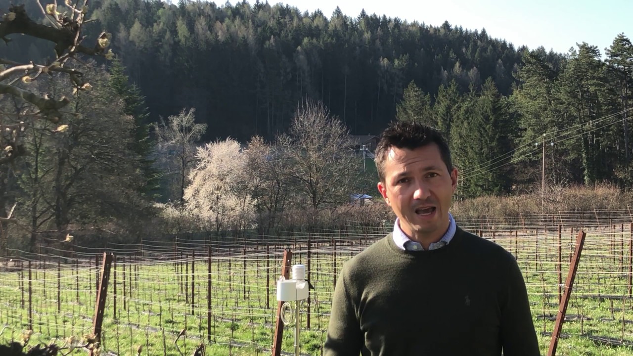 Idroplan incontra Nicola Biasi: il futuro della viticoltura fra innovazione, scienza e sostenibilità
