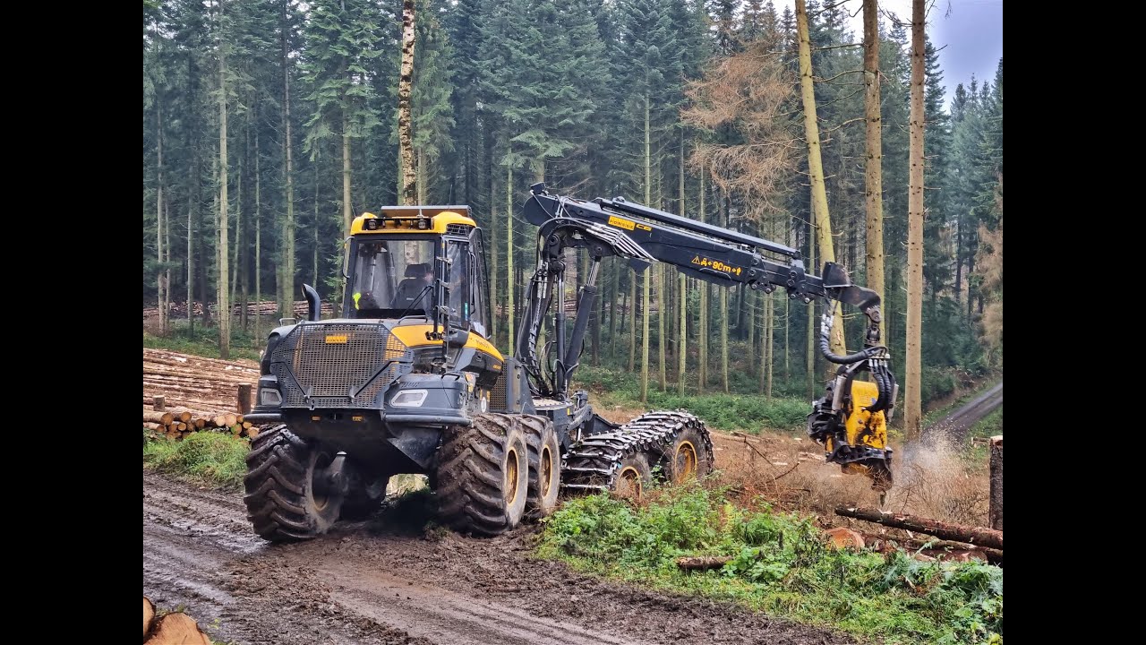 🌲Ponsse Bear / H8 • Ponsse Logging • fast working • Harvester Action • Bear Power • Logging Video 🌲