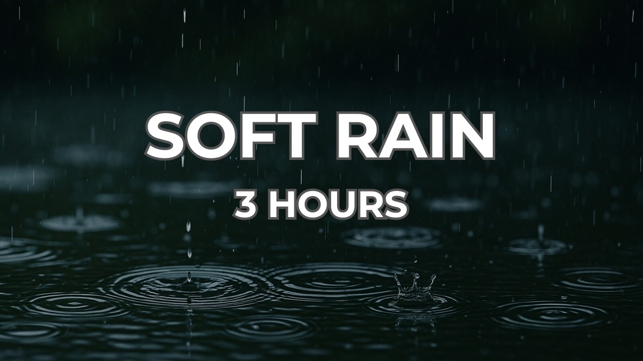 Soft Rain to Fall Asleep Fast (Black Screen) – 3 Hours of Gentle Sleep Sounds