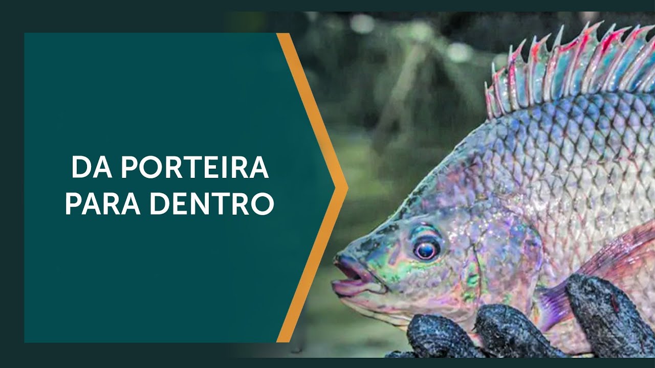 O desfecho da tentativa do fim da tilápia
