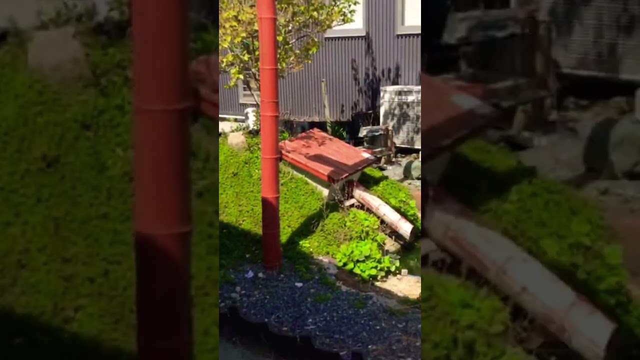 Foundups Permaculture &ldquo;Salad Garden&rdquo; 2022