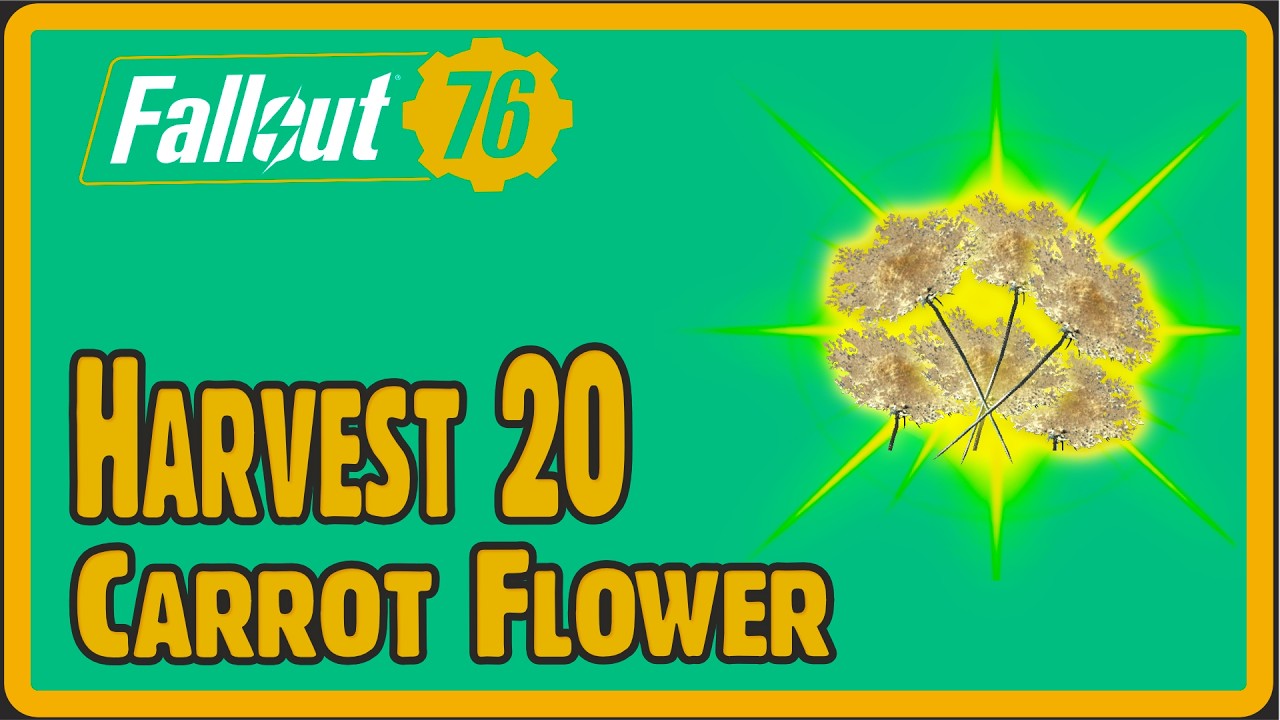 Fallout 76 Guide: Harvest 20 Carrot Flowers Fast (Best Locations)