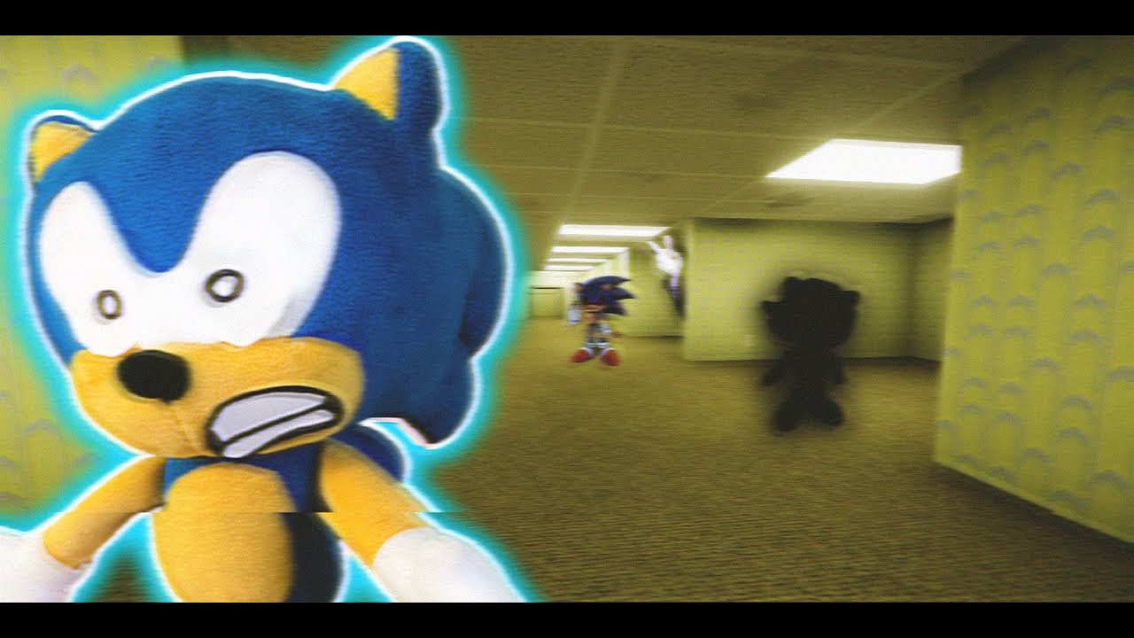 Sonic Zoom - Соник в подсобках!