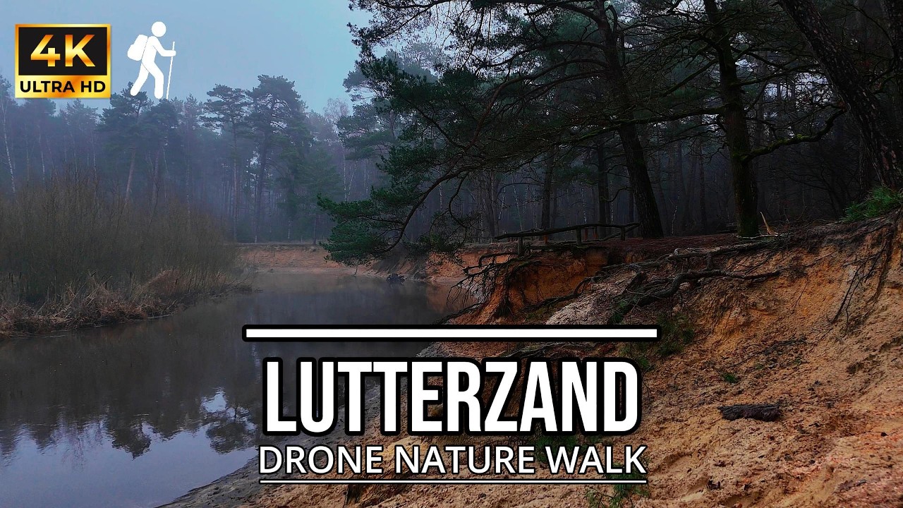 Lutterzand | 4K Drone Video | 🇳🇱 Winter Forest Walk | Relaxing