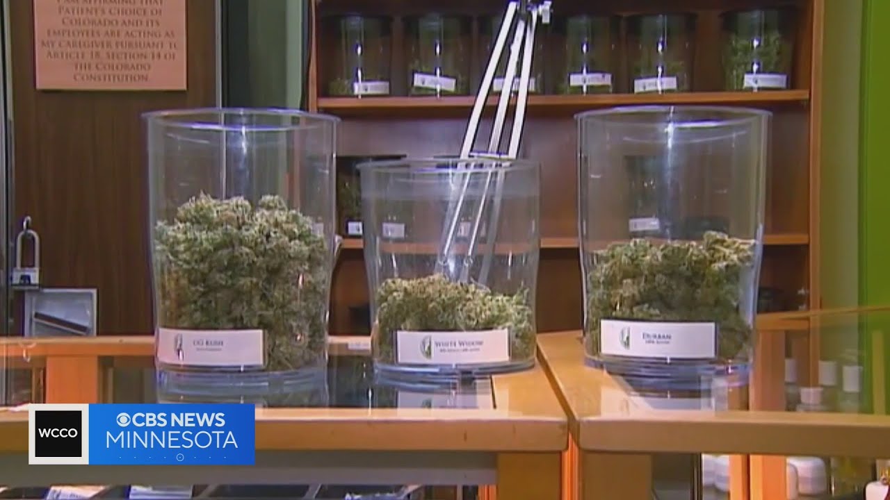 How Minnesota&rsquo;s new marijuana policy will impact the workplace