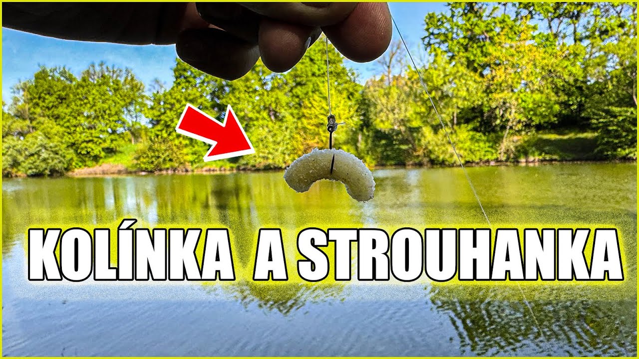 Nástraha, jako je kolínko ve strouhance, funguje / Účinný způsob, jak ulovit ryby v rybníku