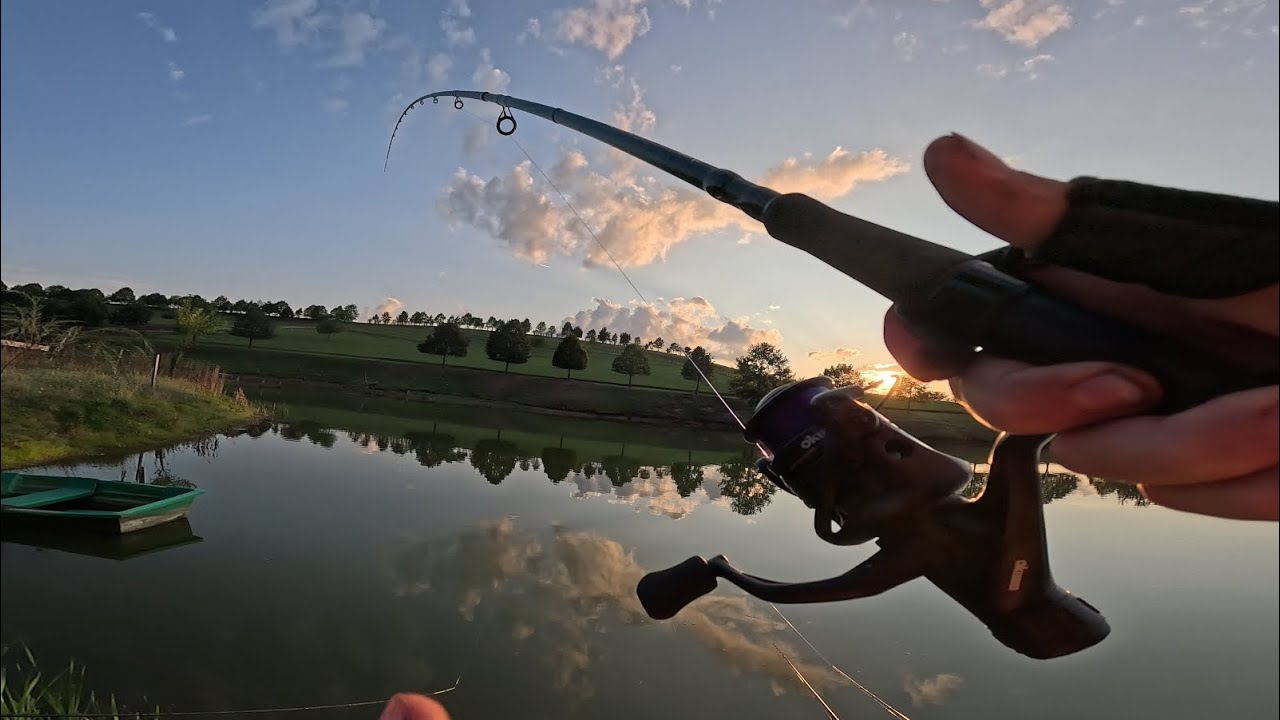 Pescuit și aventură la Ecotam lake. #Pescuit #fishing #pescuitlafeeder #crap #somnpitic #biban