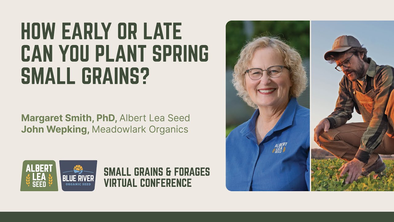 How Early or Late Can You Plant Spring Small Grains | Albert Lea Seed
