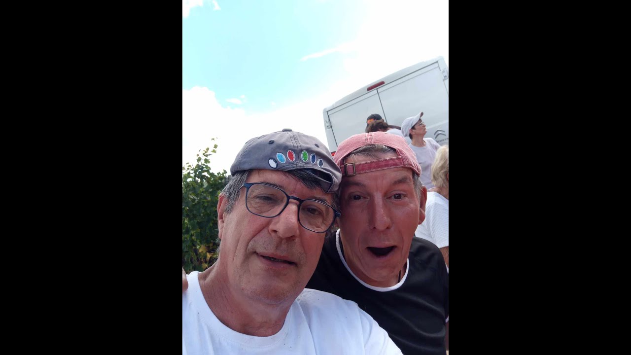 Vendanges 2023