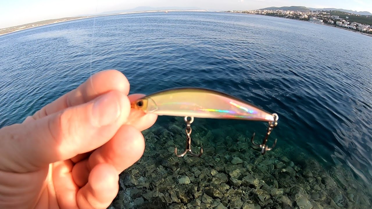 Summer fishing Adriatic Sea Selce