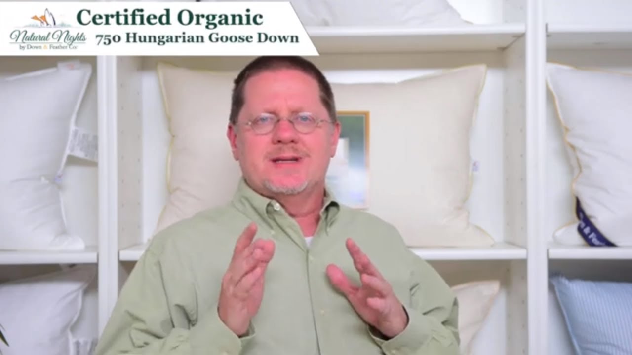 All About Natural Nights Certified Organic Luxury Down Pillows | Down & Feather Co. YouTube Channel