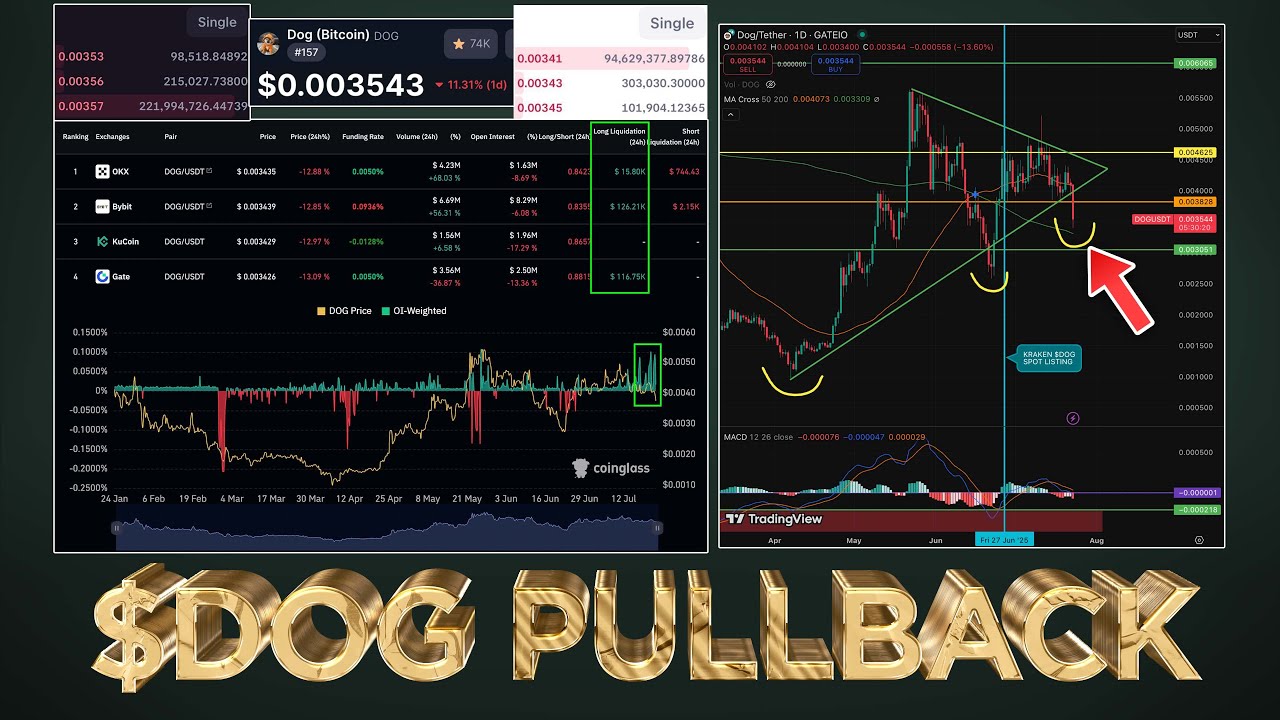 $DOG Price Volatility & Manipulation Explained 🧠