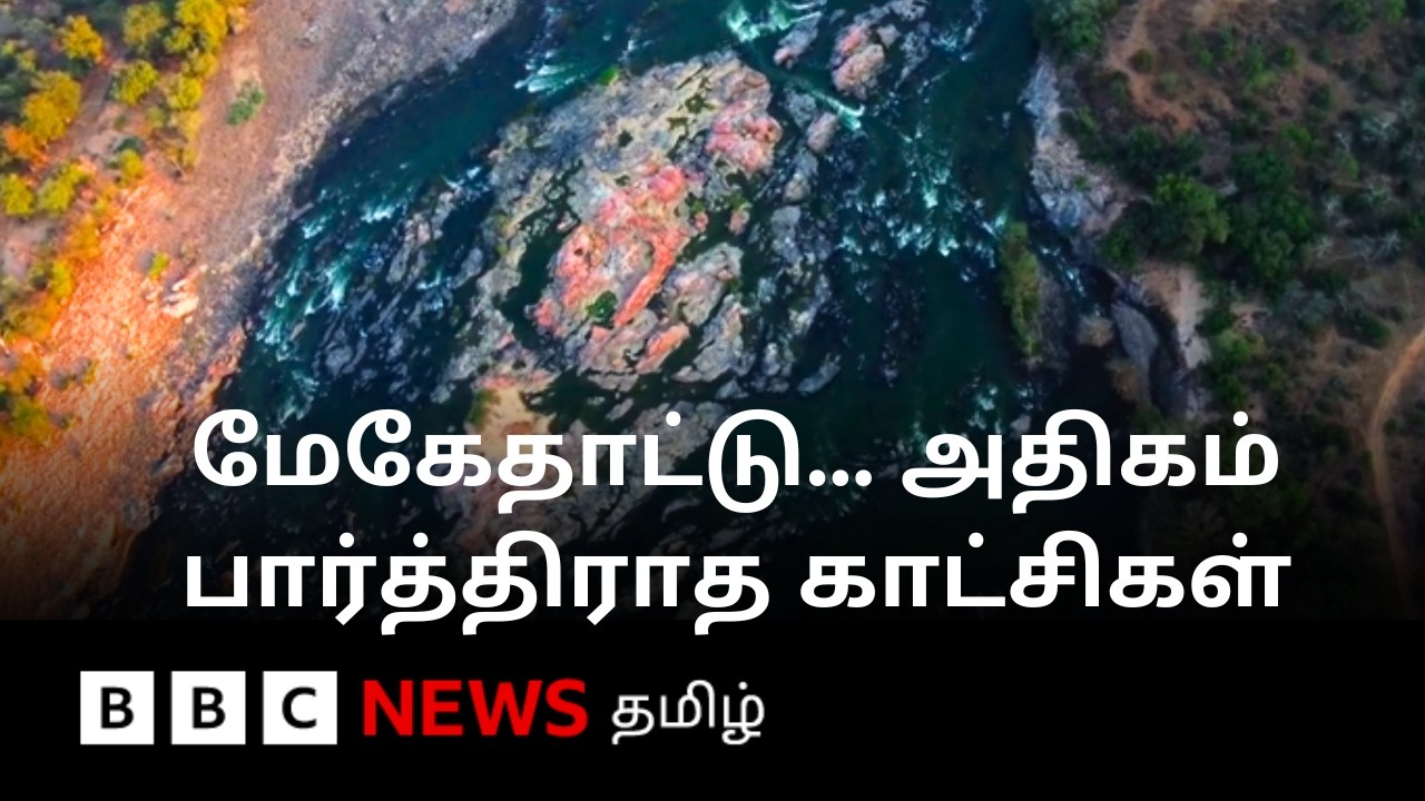 '12,000 ஏக்கர் நிலம், 67 டிஎம்சி' - Mekedatu அணை சர்ச்சையாவதன் பின்னணி என்ன? - பிபிசி தமிழ் கள ஆய்வு