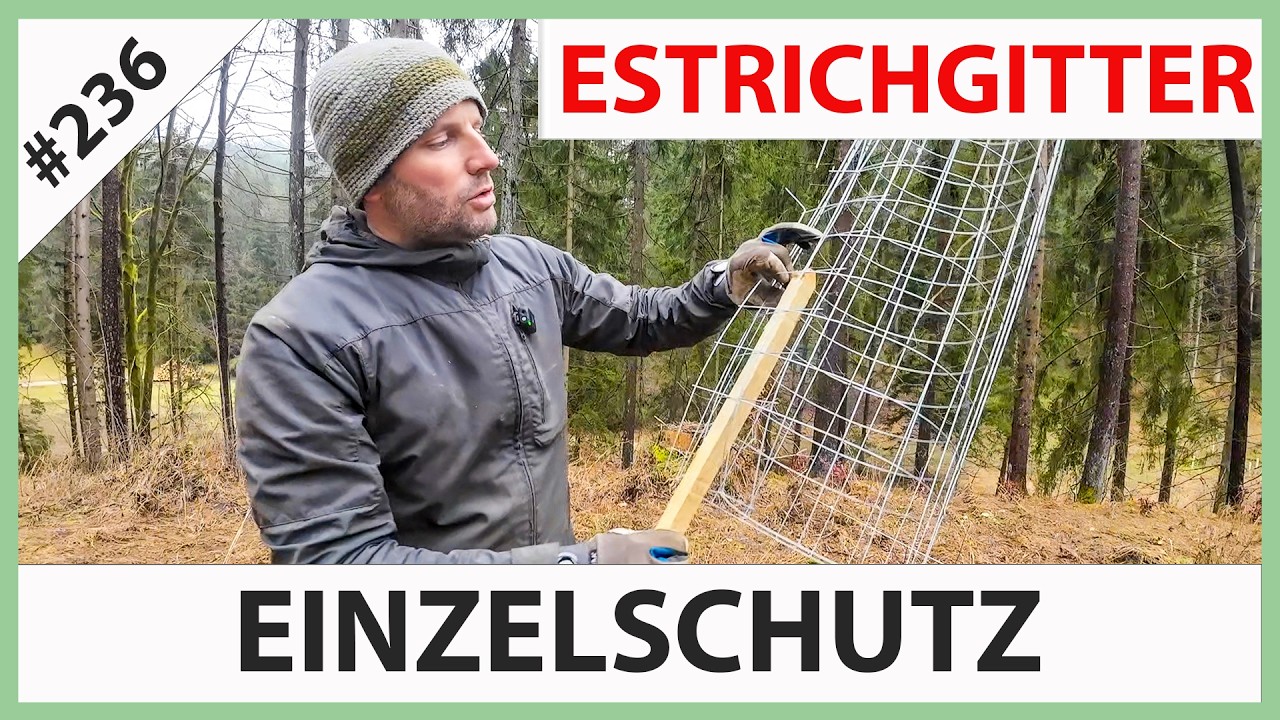 Einzelbaumschutz: Estrichgitter richtig anbringen - plastikfreie Wuchshülle für den Baum