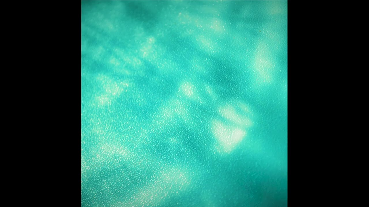 [FREE] 