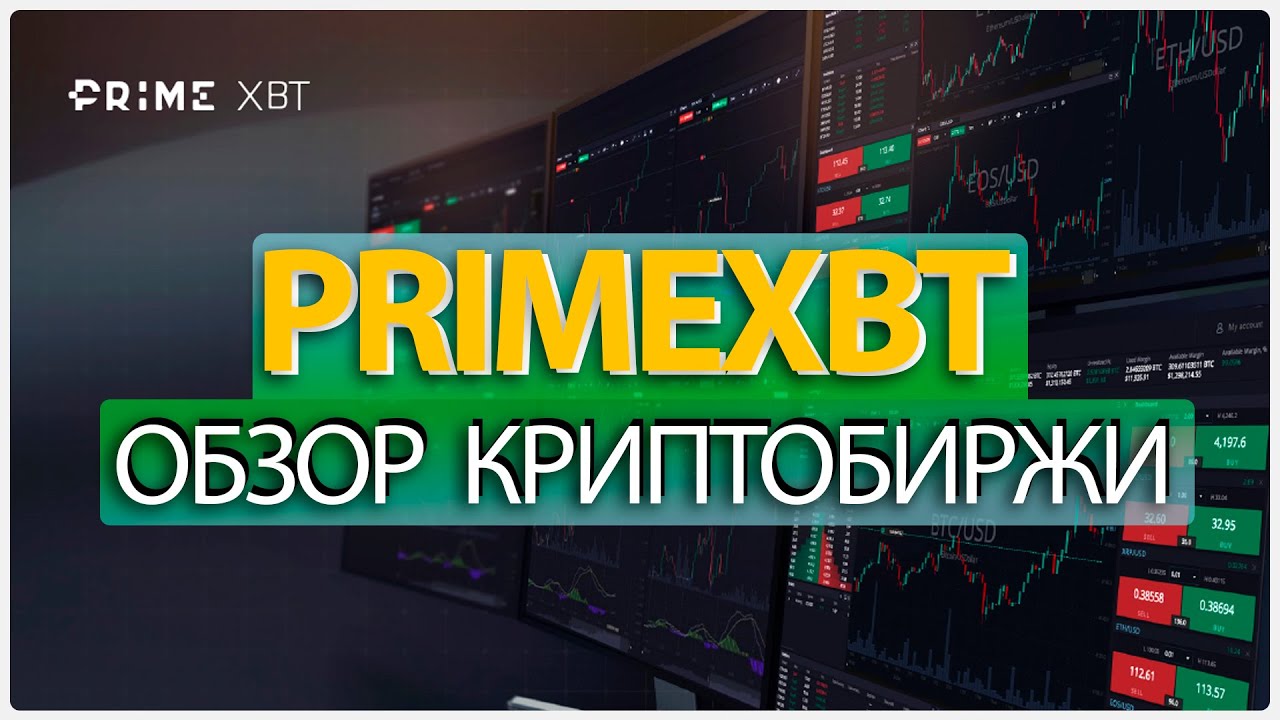💹 Биржа Prime XBT: торговать могут даже новички