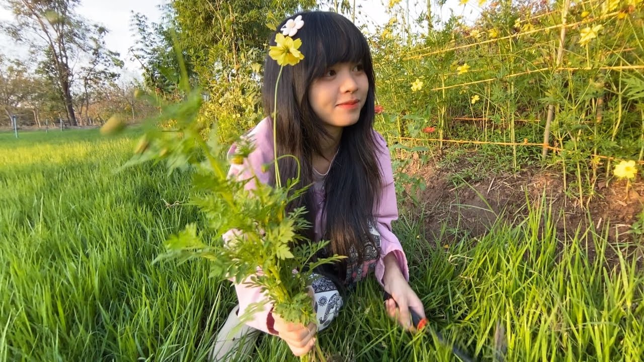 🎐วันนี้ขอช้าลงหน่อย☺️ |  ปลูกดอกไม้ พักใจไปกับธรรมชาติ 🏞️🌷