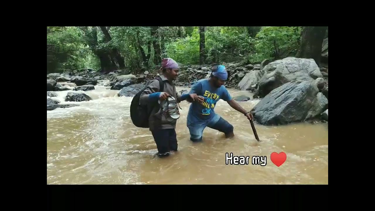 The Unexpected Truth Behind birthday trip to vellore water fall on forest I Amrithi forest