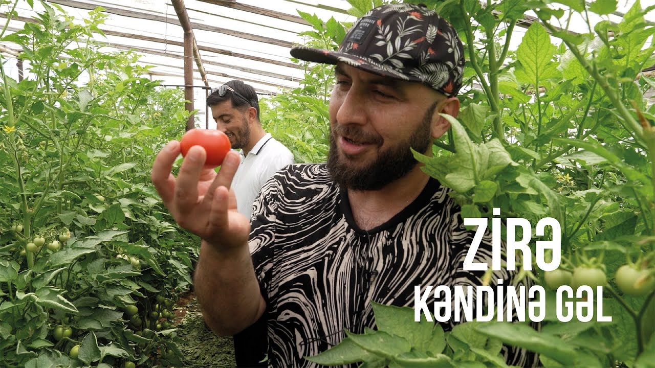 Zirə Kəndinə Gəl