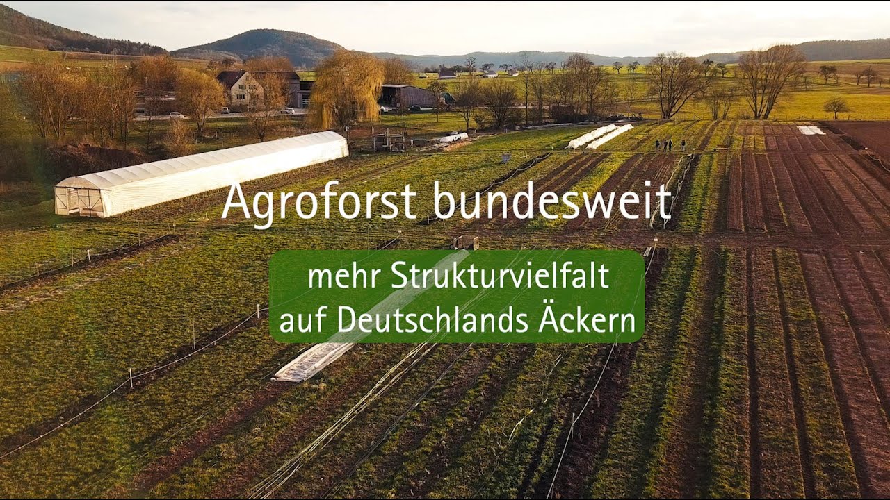 Agroforst bundesweit