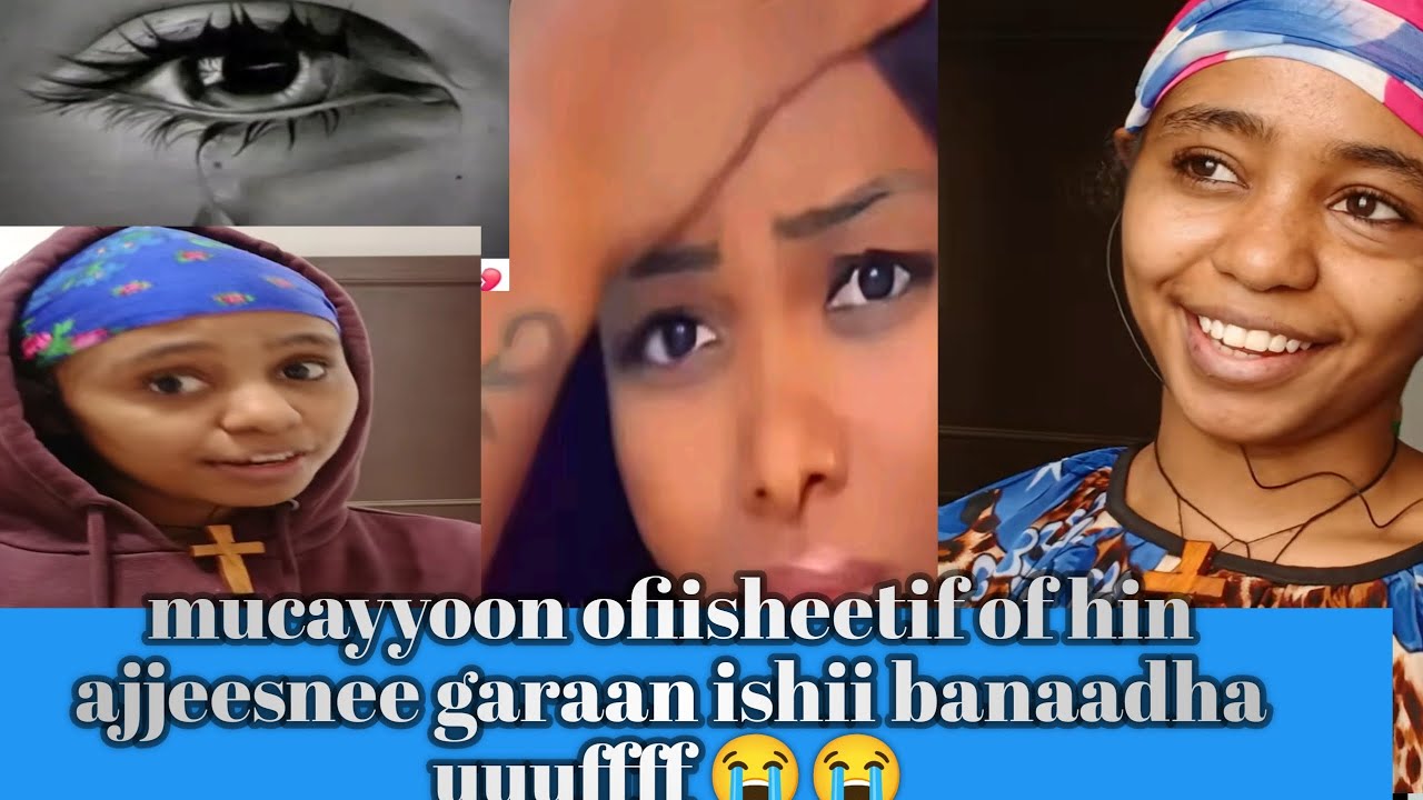#Mucayyoon ofiisheetif of hin ajjeesnee garaan ishii banaadha uuuuuff 😭😭