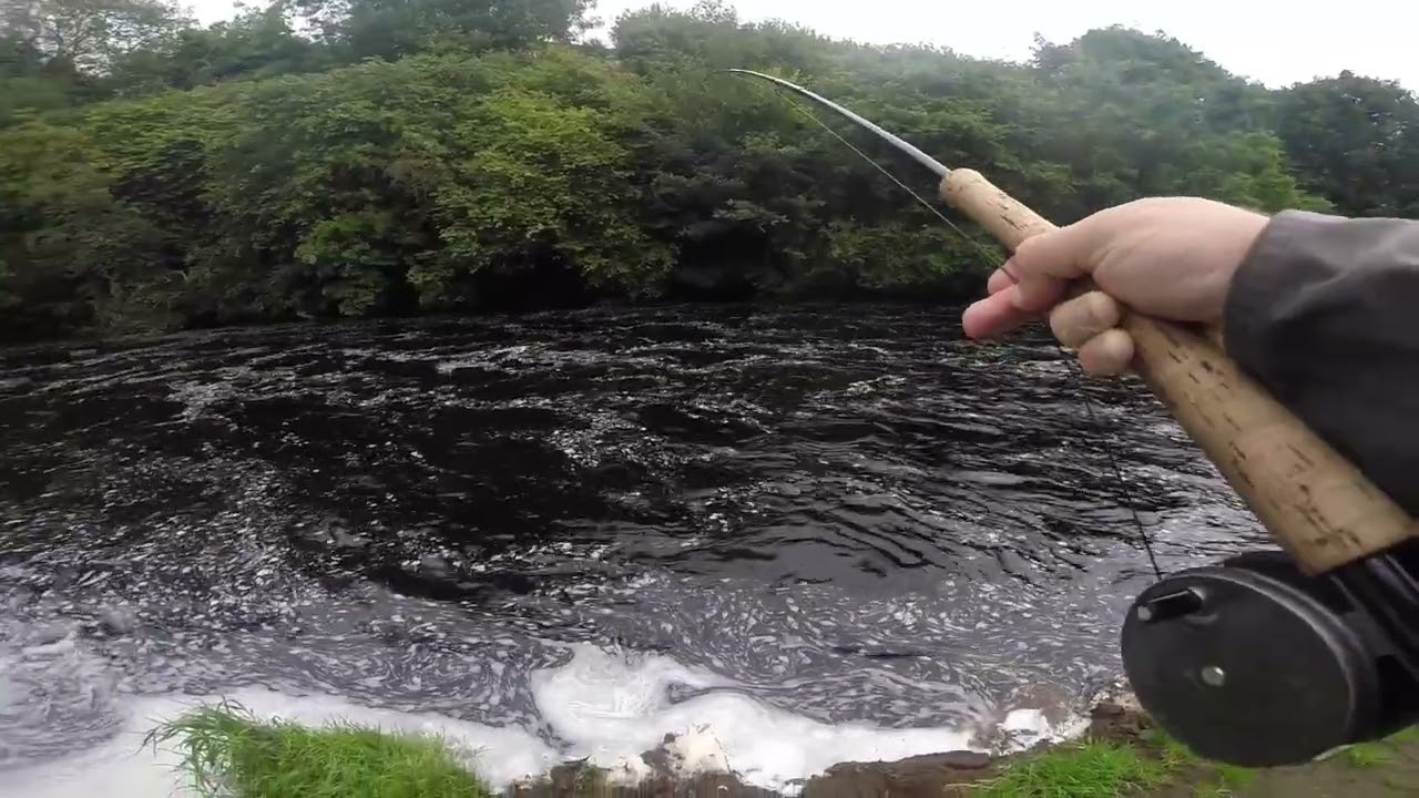 Осенняя рыбалка на лосося в Северной Ирландии (наводнение Ламмас) (смена мушки) Вера в удачу