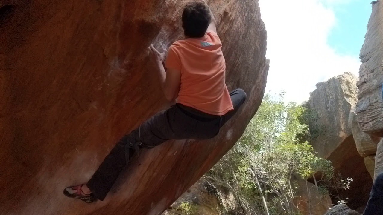 Gliding through the waves like dolphins (V11)