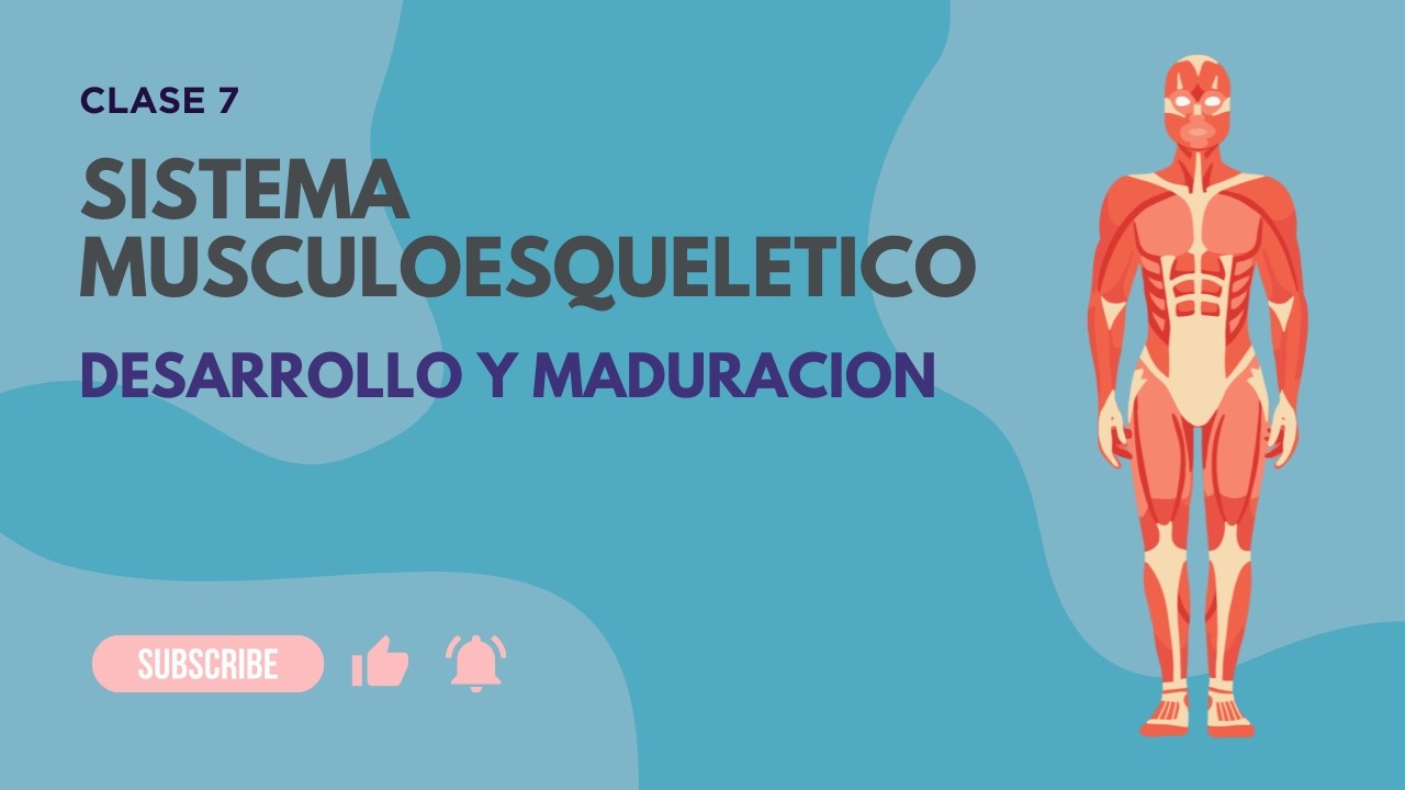 Maduración del sistema musculoesquelético