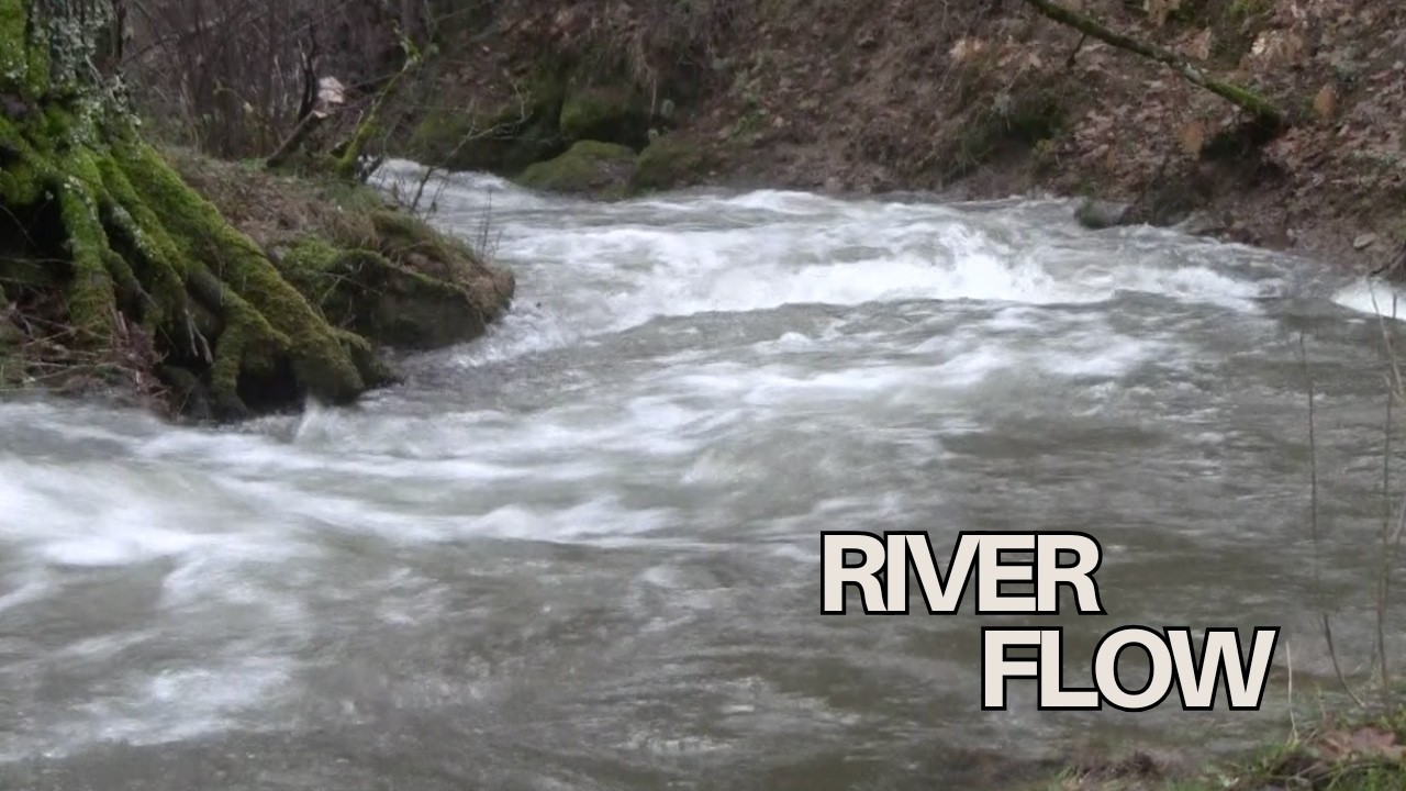 Wild River Flow Sounds 🌊 | 65 Minutes of Natural Rushing Water | Relax & Focus
