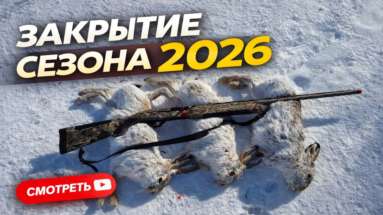 👉 Бегут без остановки! Закрытие сезона! Взял 3 зайца #hunting #охота #huntingseason