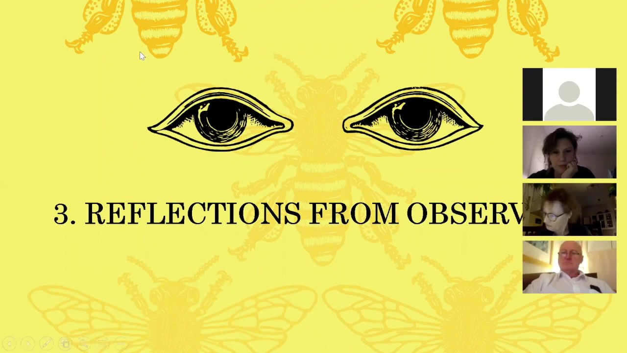 Extinction Rebellion Webinar on Climate Assembly UK - PART 3: Reflections from observers