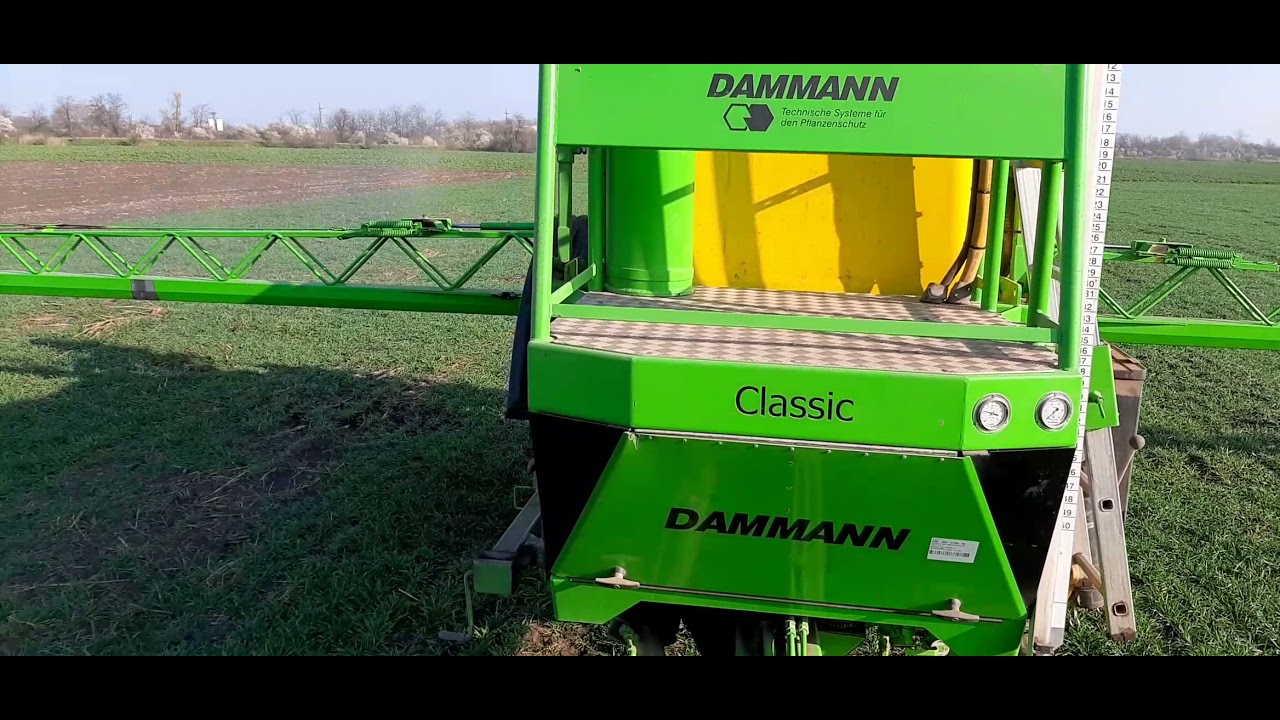 Dammann classic