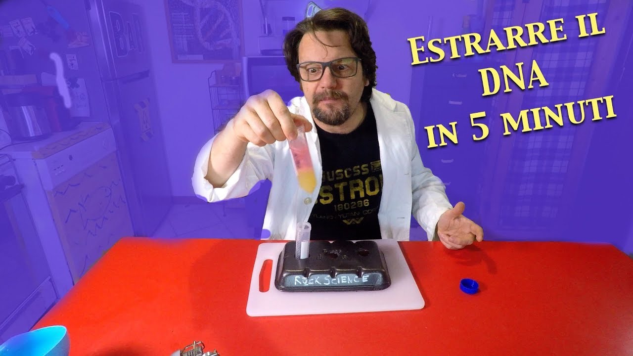 Come si estrae il DNA da qualunque organismo in 5 minuti. E perchè il DNA somiglia a muco?