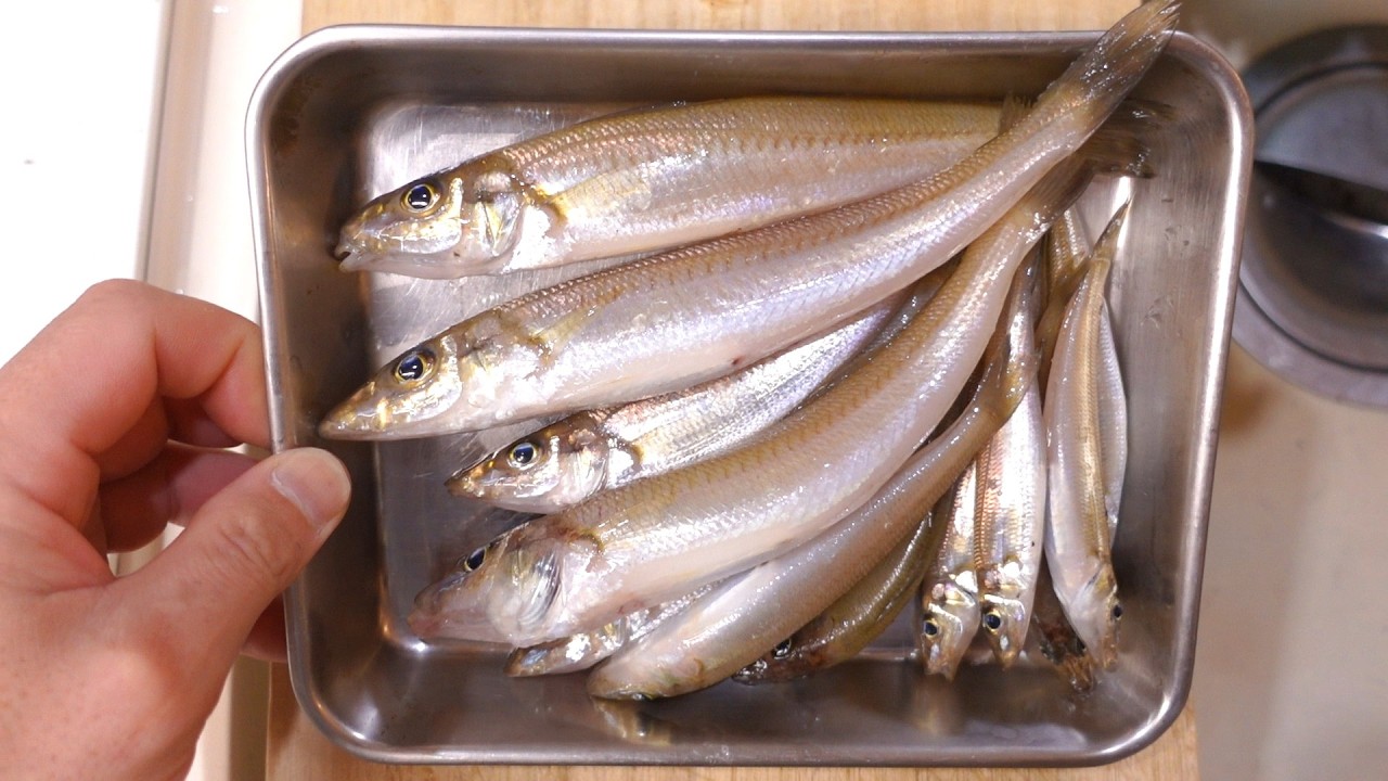１月後半の真冬にキスの投げ釣り！？良型も釣れて大満足♪