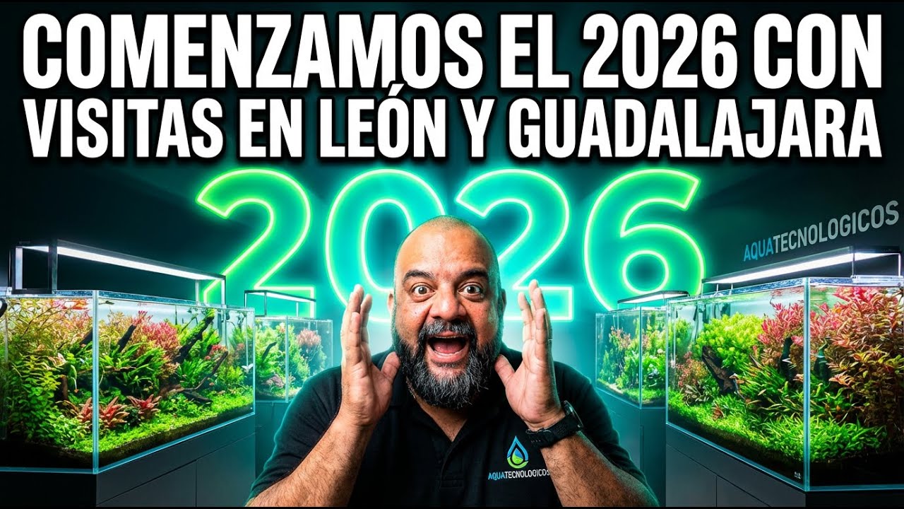 TODO lo que se viene en 2026 😱 Viajes a Guadalajara y León  Mantenimiento CLAVE del acuario plantado