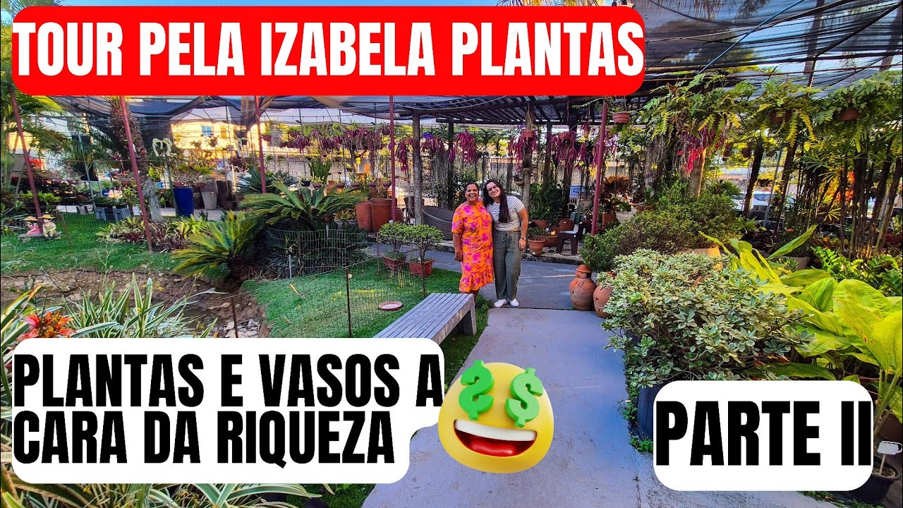 IZABELA PLANTAS PARTE II: VASOS ORNAMENTAIS DE TIRAR O FÔLEGO | PLANTAS COM PREÇOS VARIADOS