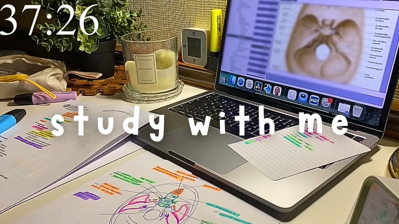 3H STUDY WITH ME  | 50-10 pomodoro, real sound + real time | ASMR｜anatomy session