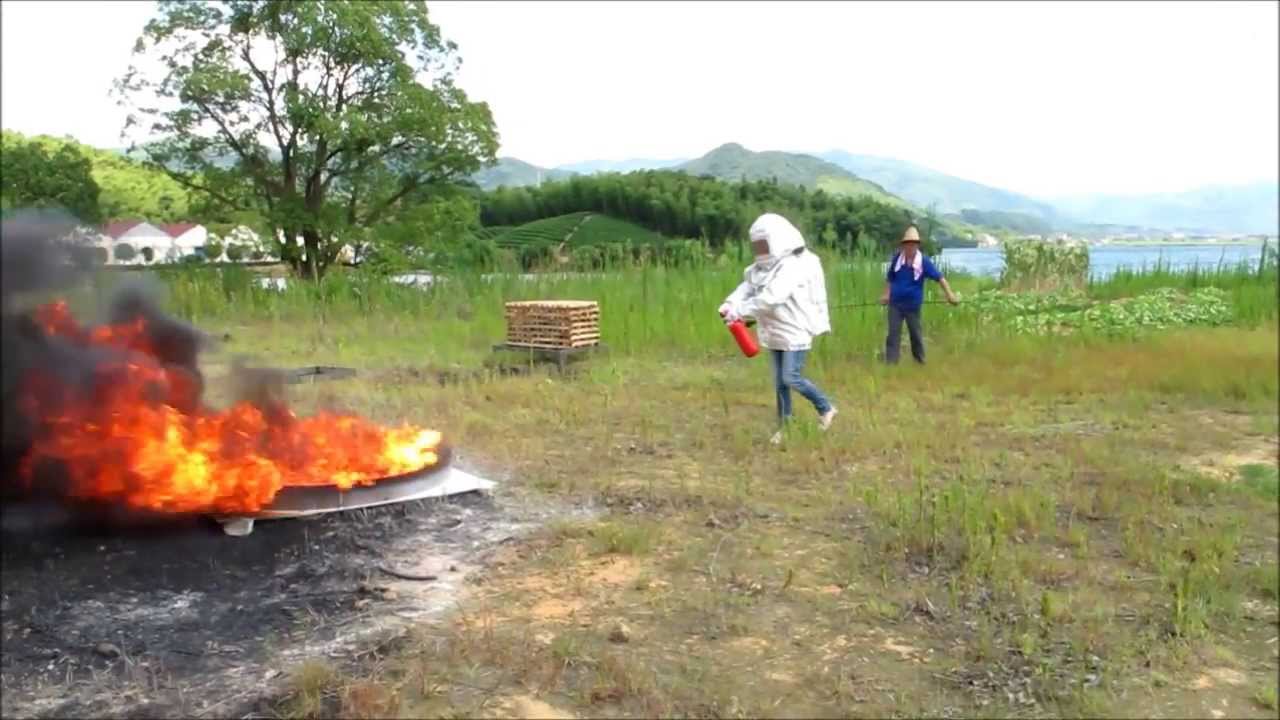 Firephant test.