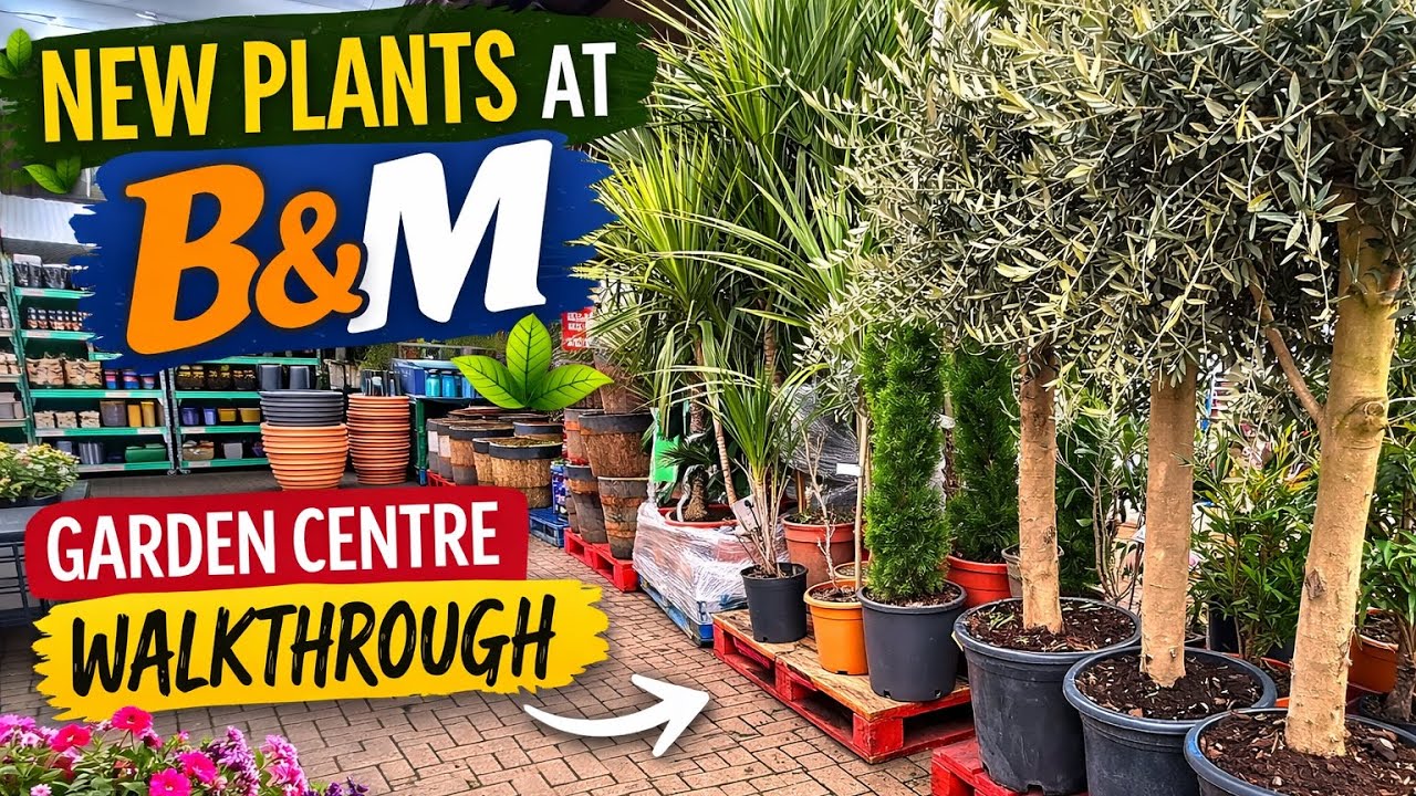 NEW Plants at B&M Garden Centre 🌿 Full Walkthrough & Plant Prices