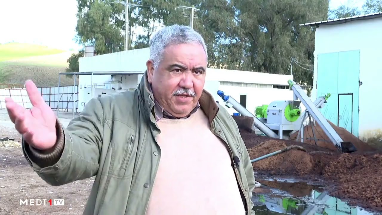 كيفية الاستفادة من مخلفات معاصر الزيتون