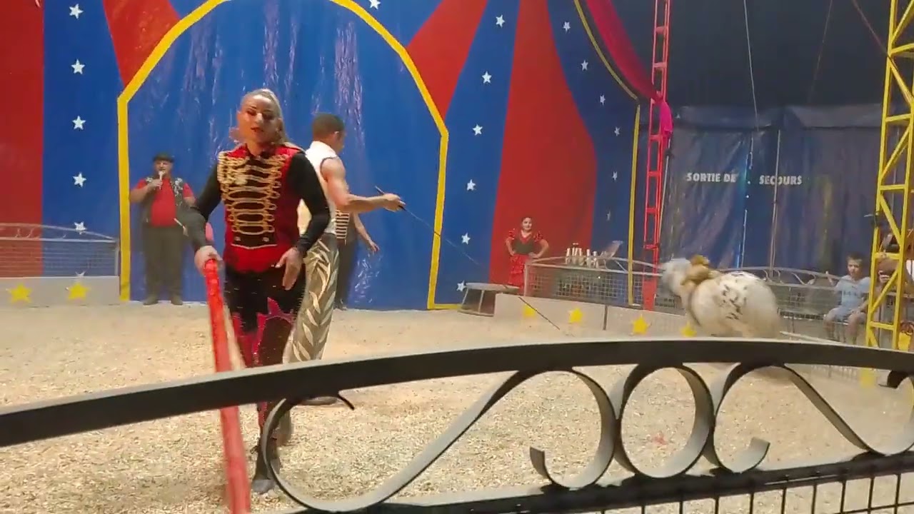 cirque boletti