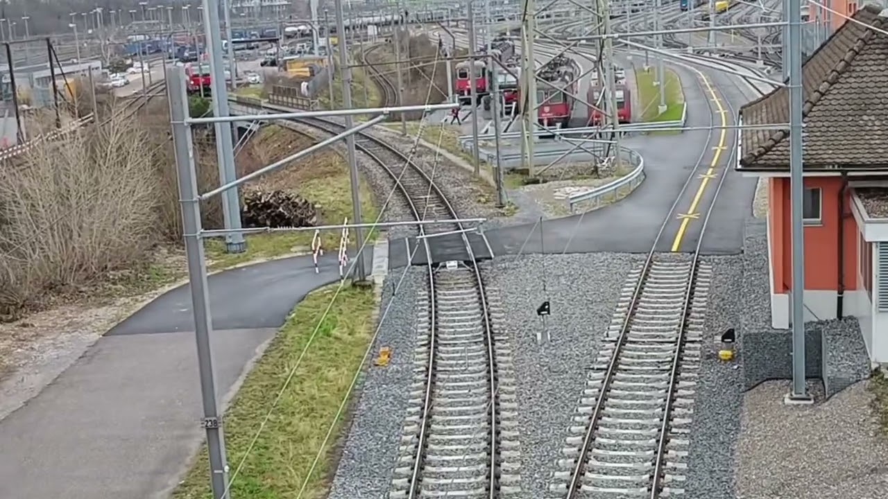 Trains à Basel SBB RB ou à Muttenz en Suisse le 12 mars 2025 😎👍