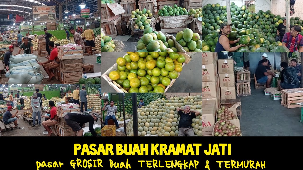 Update TERBARU Harga BUAH Di Pasar INDUK Kramat Jati || Pasar Buah TERLENGKAP Dan TERMURAH