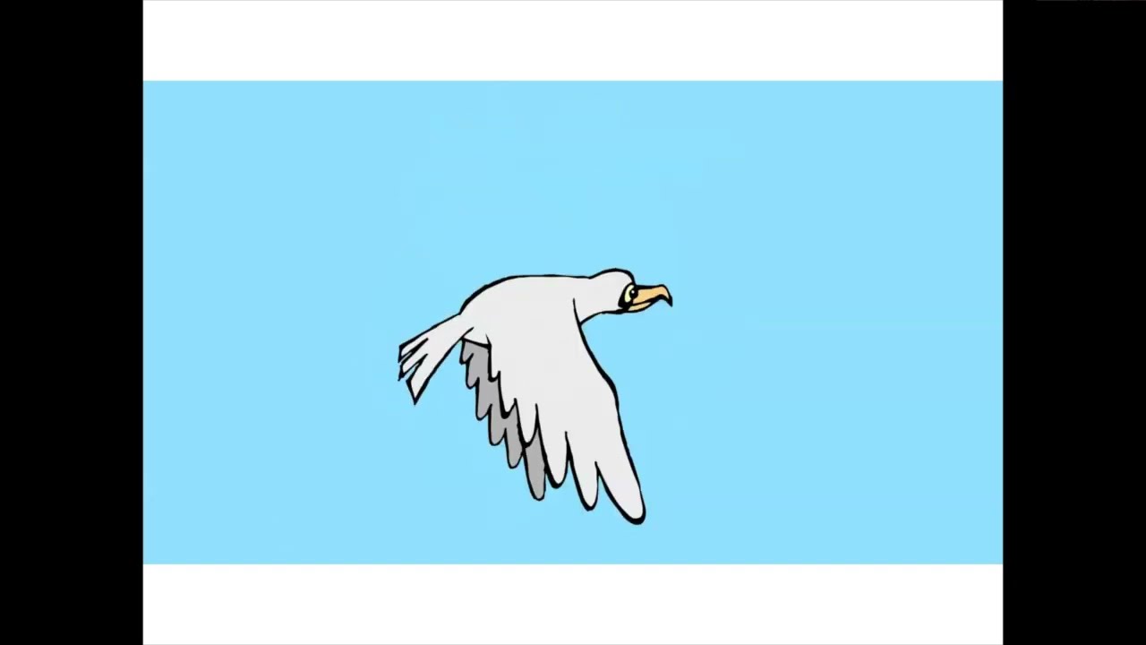0 BIRD FLIGHT MASTER