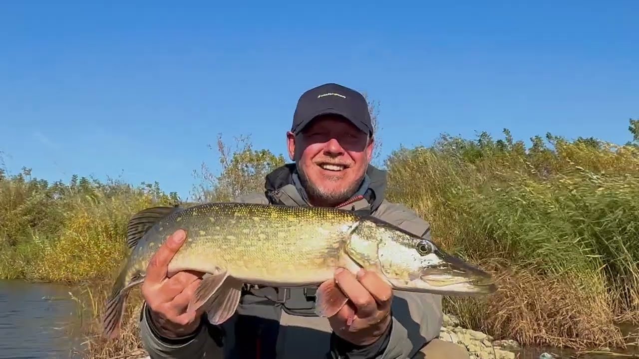 Nemuno lydekos jig'u nuo kranto. TV