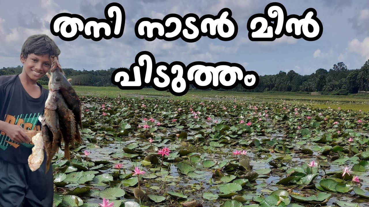 മീൻപിടിക്കാൻ പോയി ചമ്മി പോയ ദിവസം