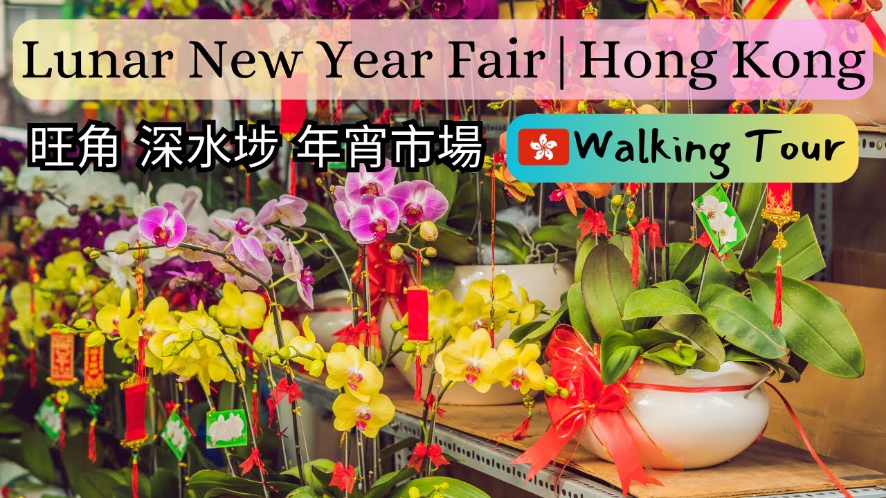 2024 Lunar New Year Fair In Hong Kong - Mongkok Flower Market, Sham Shui Po Fa Hui Park 🐲