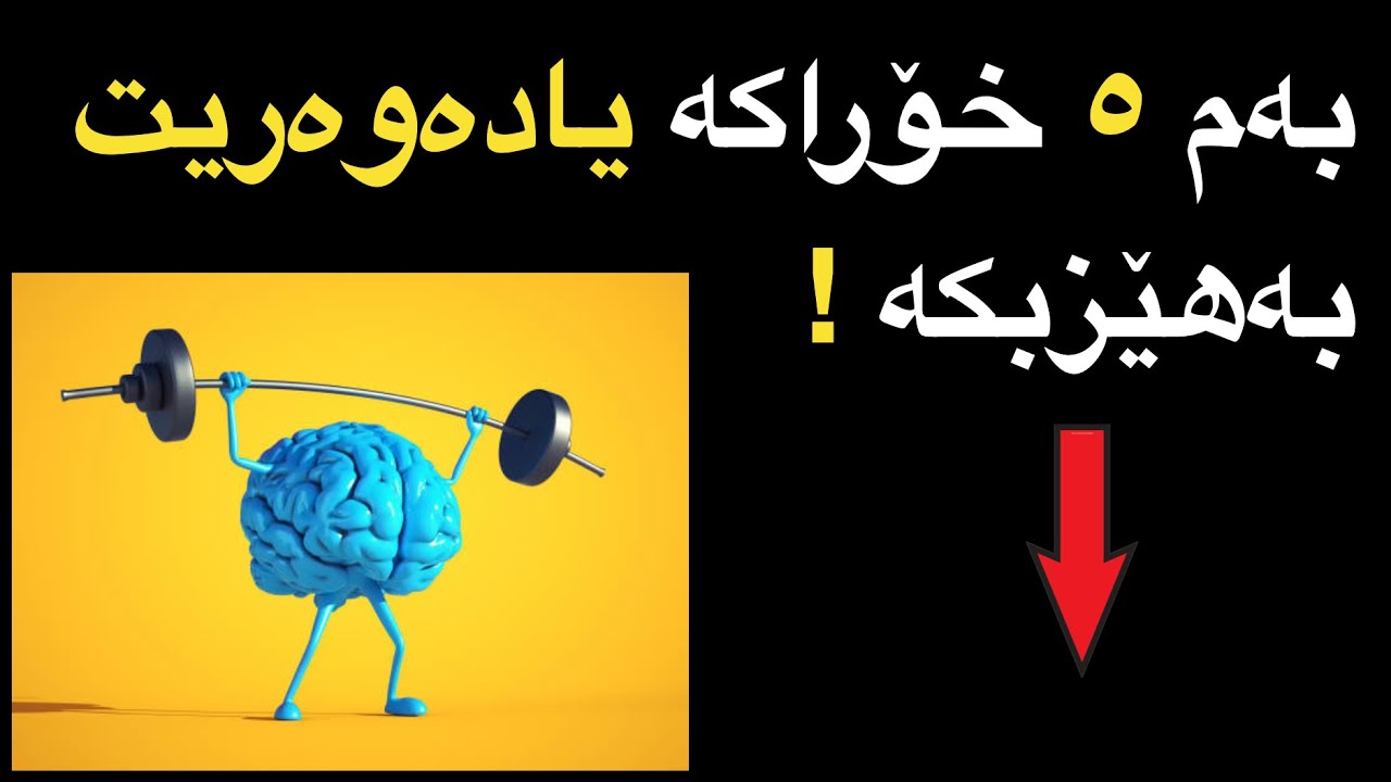 بەم ٥ خۆراکە یادەوەریت بەهێز بکە. How to improve your memory