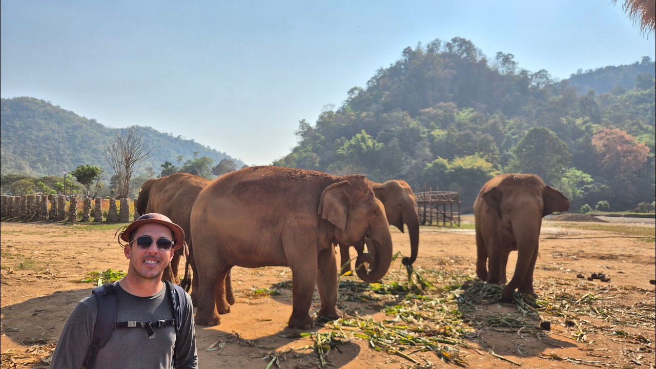 Elephant Nature Park - o santuário e centro de resgate de elefantes em Chiang Mai, Tailândia