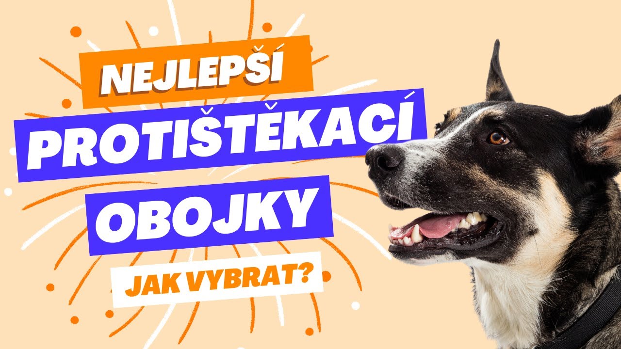 Můj výběr 5 nejlepších protištěkacích obojků a jak je vybrat? [TEST 2024]